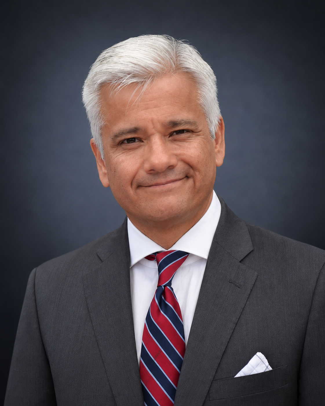 Portrait of D. Fernando Bobadilla