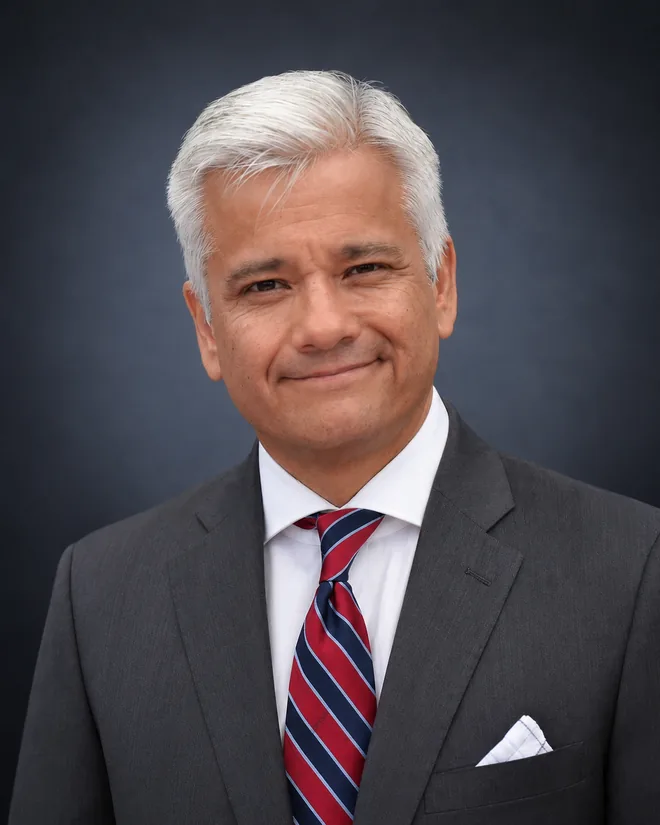 Portrait of D. Fernando Bobadilla